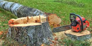 Best Tree Risk Assessment  in Wheeling, WV