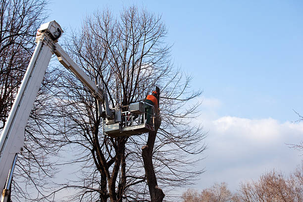 Soil Testing and Treatment in Wheeling, WV